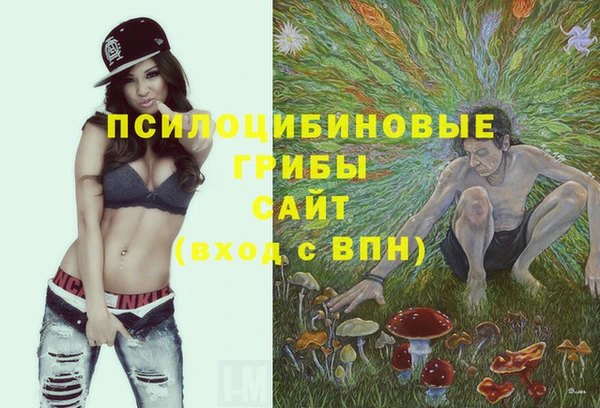 бошки Балахна