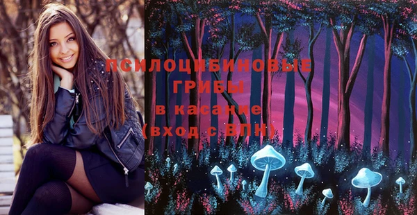 бошки Балахна